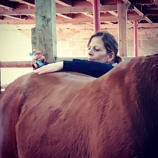 Application of moxibustion at Bai Hui on a horse (c) IF Equine Therapies