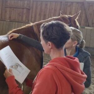 Hands-on Courses