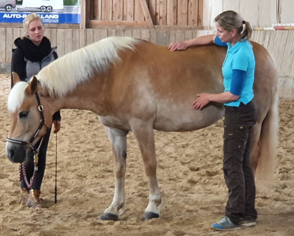 Woman demonstrating the application of equine acupressure (c) IF Equine Therapies