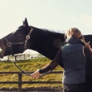 Equine Acupressure & TCM for Horse Therapists, Co. Galway, 5 and 6 September 2026