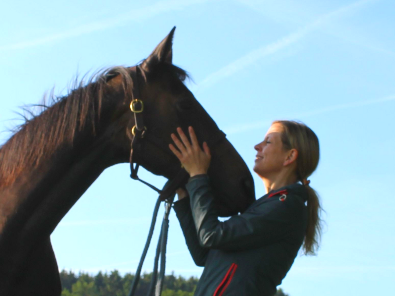 Woman and horse standing face to face. The woman holds the horse's head between her hands and the horse rests with her nose at the woman's heart level (c) IF Equine Therapies