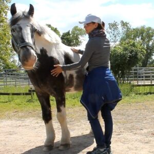 Woman standing beside horse and having her hands on the horse (c) IF Equine Therapies