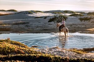 Horse rider riding through water on a sunny day Fire element TCVM Equine Acupressure (c) Tim Mossholder - Unsplash