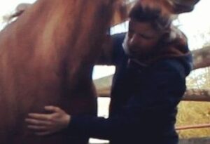 Palpation Equine Bodywork