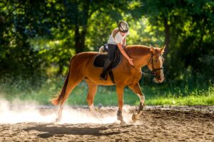 Female rider on chestnut horse (c) Dusan Kostic - Fotolia.com