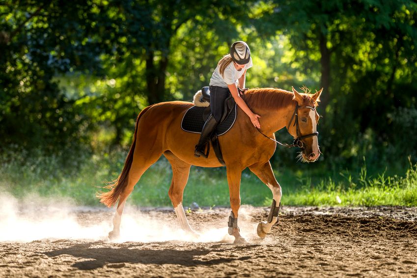 Female rider on chestnut horse (c) Dusan Kostic - Fotolia.com
