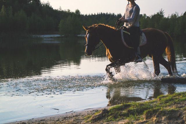 Female rider on chestnut horse walking into water