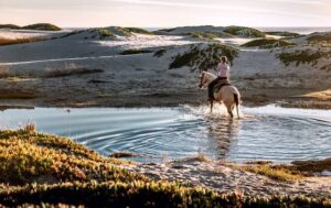 Horse rider riding through water on a sunny day Fire element TCVM Equine Acupressure (c) Tim Mossholder - Unsplash