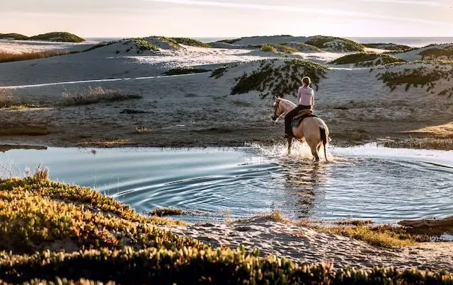Horse rider riding through water on a sunny day Fire element TCVM Equine Acupressure (c) Tim Mossholder - Unsplash